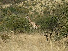 090517_Pilanesberg 089